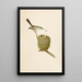 The World of North American Birds pl07 - Robert Ridgway — framed artwork on a wall