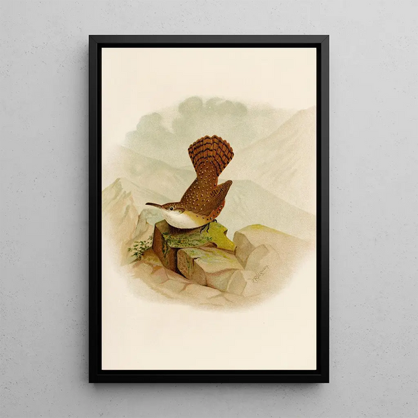 The World of North American Birds pl10 - Robert Ridgway — framed artwork on a wall