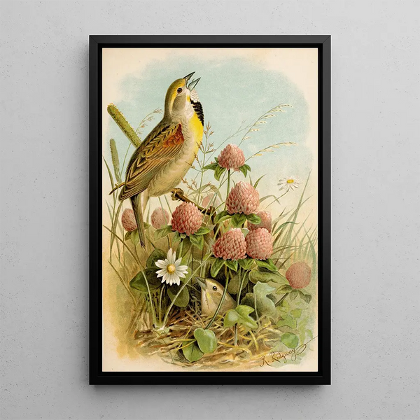 The world of North American birds pl29 - Robert Ridgway — framed artwork on a wall