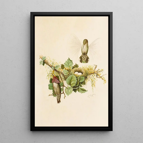 The world of North American birds pl35 - Robert Ridgway — framed artwork on a wall