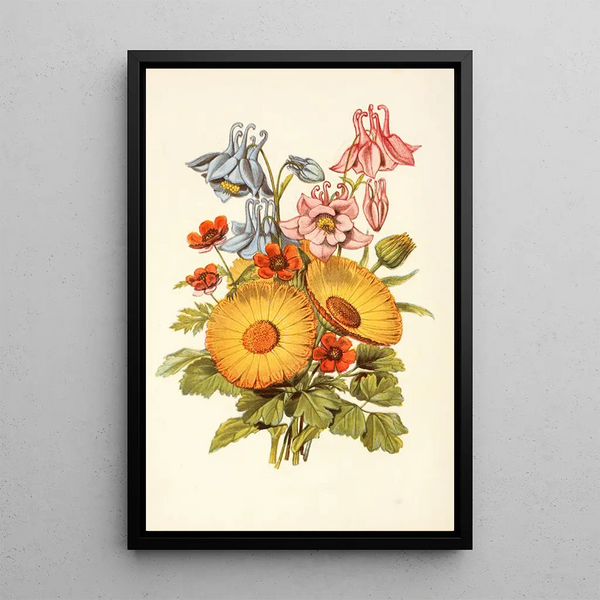 Colombine Souci Œil de faisan - Robert Tyas — framed artwork on a wall