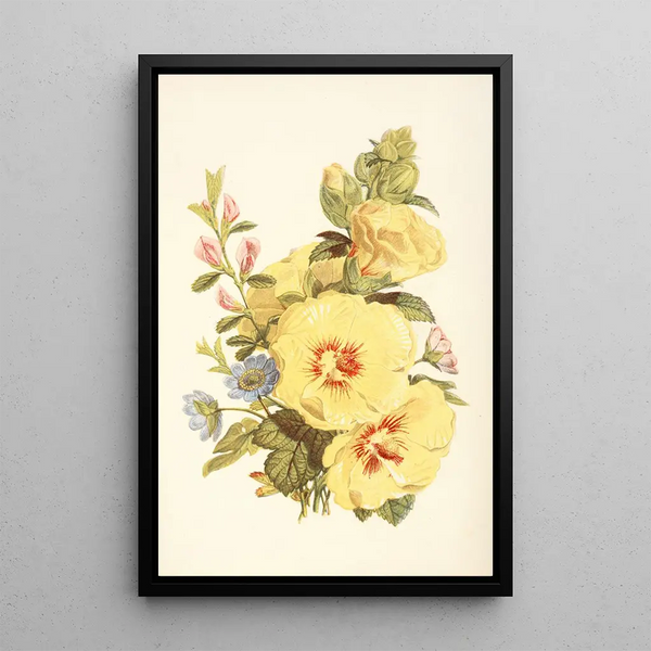 Rose trémière Hépatique Bugrane - Robert Tyas — framed artwork on a wall