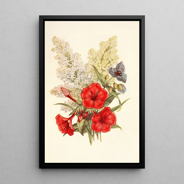Lilas Belle de nuit Éphémère - Robert Tyas — framed artwork on a wall