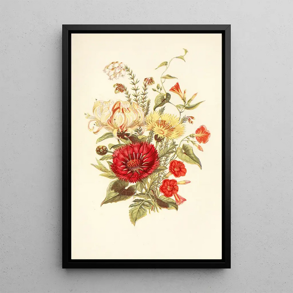Scarlet Ipomoea White Heather Sultana - Robert Tyas — framed artwork on a wall