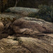 Rochers plats au clair de lune - Gustaf Fjåstad — artwork view
