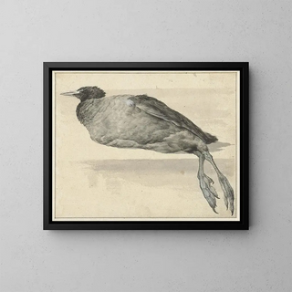 Dode foulque - Rochus van Veen — framed artwork on a wall