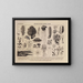 Atlas of the Brazil Wildlife Painting Pl02 - Rodolpho von Ihering — framed artwork on a wall