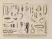 Atlas of Brazil's Wildlife Pl03 - Rodolpho von Ihering — artwork view