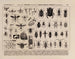 Atlas of Brazil's Wildlife Pl08 - Rodolpho von Ihering — artwork view