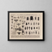 Atlas of Brazil's Wildlife Pl08 - Rodolpho von Ihering — framed artwork on a wall