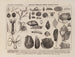 Atlas of Brazil's Wildlife Map Pl09 - Rodolpho von Ihering — artwork view