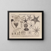Atlas de la faune du Brésil Pl10 - Rodolpho von Ihering — framed artwork on a wall