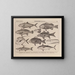 Atlas de la faune du Brésil Pl14 - Rodolpho von Ihering — framed artwork on a wall