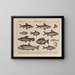 Atlas of Brazil's Wildlife Pl16 - Rodolpho von Ihering — framed artwork on a wall
