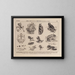 Atlas de la faune du Brésil Pl18 - Rodolpho von Ihering — framed artwork on a wall