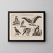 Atlas de la faune du Brésil Pl25 - Rodolpho von Ihering — framed artwork on a wall