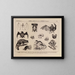 Atlas of Brazil's Wildlife Pl30 - Rodolpho von Ihering — framed artwork on a wall