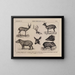 Atlas of the Brazil Wildlife Map Pl36 - Rodolpho von Ihering — framed artwork on a wall