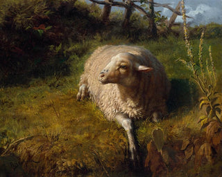 A resting sheep - Rosa Bonheur — artwork view