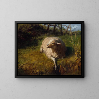 A resting sheep - Rosa Bonheur — framed artwork on a wall