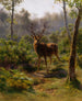 A Deer - Rosa Bonheur — artwork view