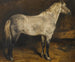 A gray pinto horse - Rosa Bonheur — artwork view