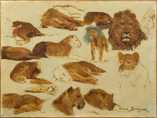 Sketch of lions and lionesses - Rosa Bonheur — artwork view