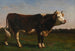 King of the Flock - Rosa Bonheur — artwork view