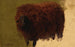 Large Woolly Sheep Painting - Rosa Bonheur — artwork view