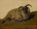 The Merino Sheep - Rosa Bonheur — artwork view