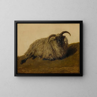 The Merino Sheep - Rosa Bonheur — framed artwork on a wall
