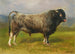The Gray Bull - Rosa Bonheur — artwork view