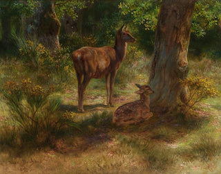 Les cerfs et les fauves dans un bois - Rosa Bonheur — artwork view