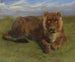 Lionne au repos - Rosa Bonheur — artwork view