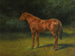 L'Automne rouge - Rosa Bonheur — artwork view