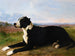 Portrait of a Labrador Mastiff in a Landscape - Rosa Bonheur — artwork view