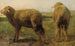 Sheep in a Meadow - Rosa Bonheur — artwork view