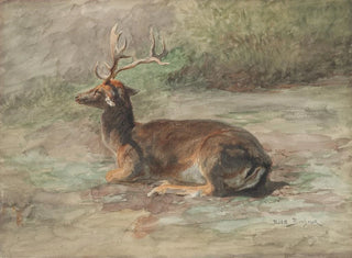 lying deer - Rosa Bonheur — artwork view
