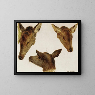 Study of deer heads - Rosa Bonheur — framed artwork on a wall