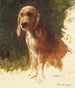 Study of a Dog - Rosa Bonheur — artwork view