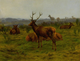 The Monarch of the Herd - Rosa Bonheur — artwork view