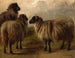 Three Woolly Sheep - Rosa Bonheur — artwork view