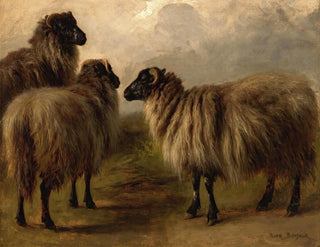 Three Woolly Sheep - Rosa Bonheur — artwork view