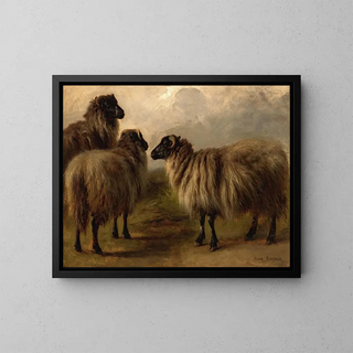 Three Woolly Sheep - Rosa Bonheur — framed artwork on a wall