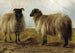 Two rams in a landscape - Rosa Bonheur — artwork view
