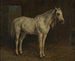 White Horse - Rosa Bonheur — artwork view