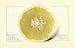 Citrus paradisi Silver Cluster - Royal Charles Steadman — artwork view