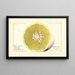 Citrus paradisi Silver Cluster - Royal Charles Steadman — framed artwork on a wall
