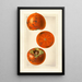 Diospyros Tane Nashi - Royal Charles Steadman — framed artwork on a wall