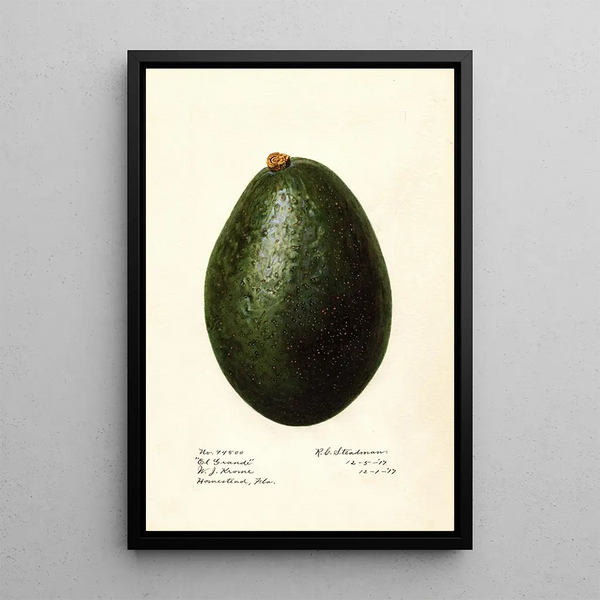 Persea El Grande - Royal Charles Steadman - Royal Charles Steadman — framed artwork on a wall